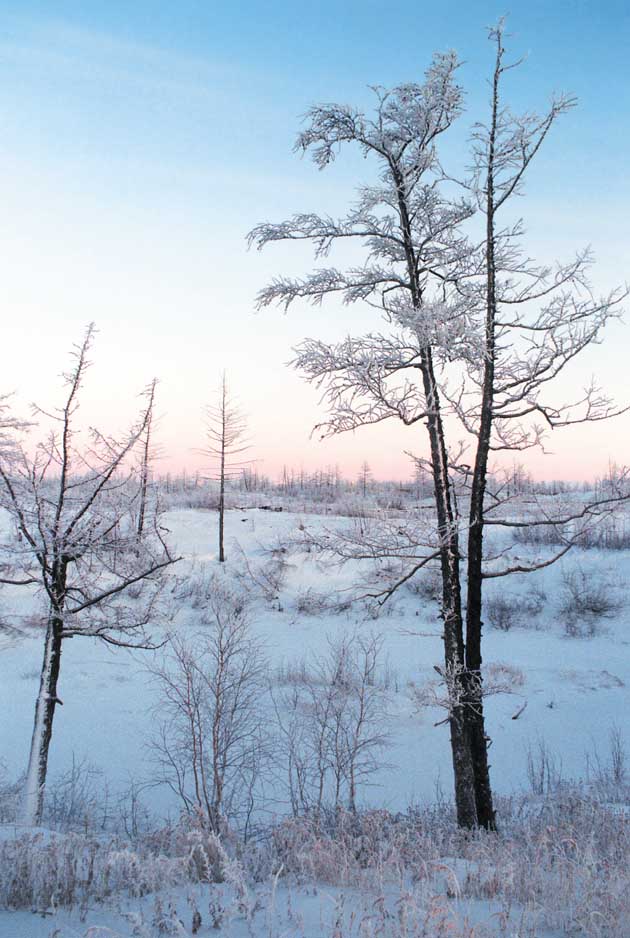 ЗАМЁРЗ~1.JPG