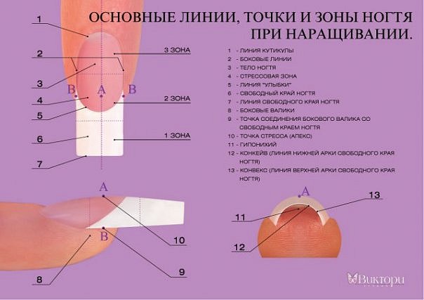 Формы ногтей при наращивании как правильно делать Формы ногтей при наращивании как правильно делать